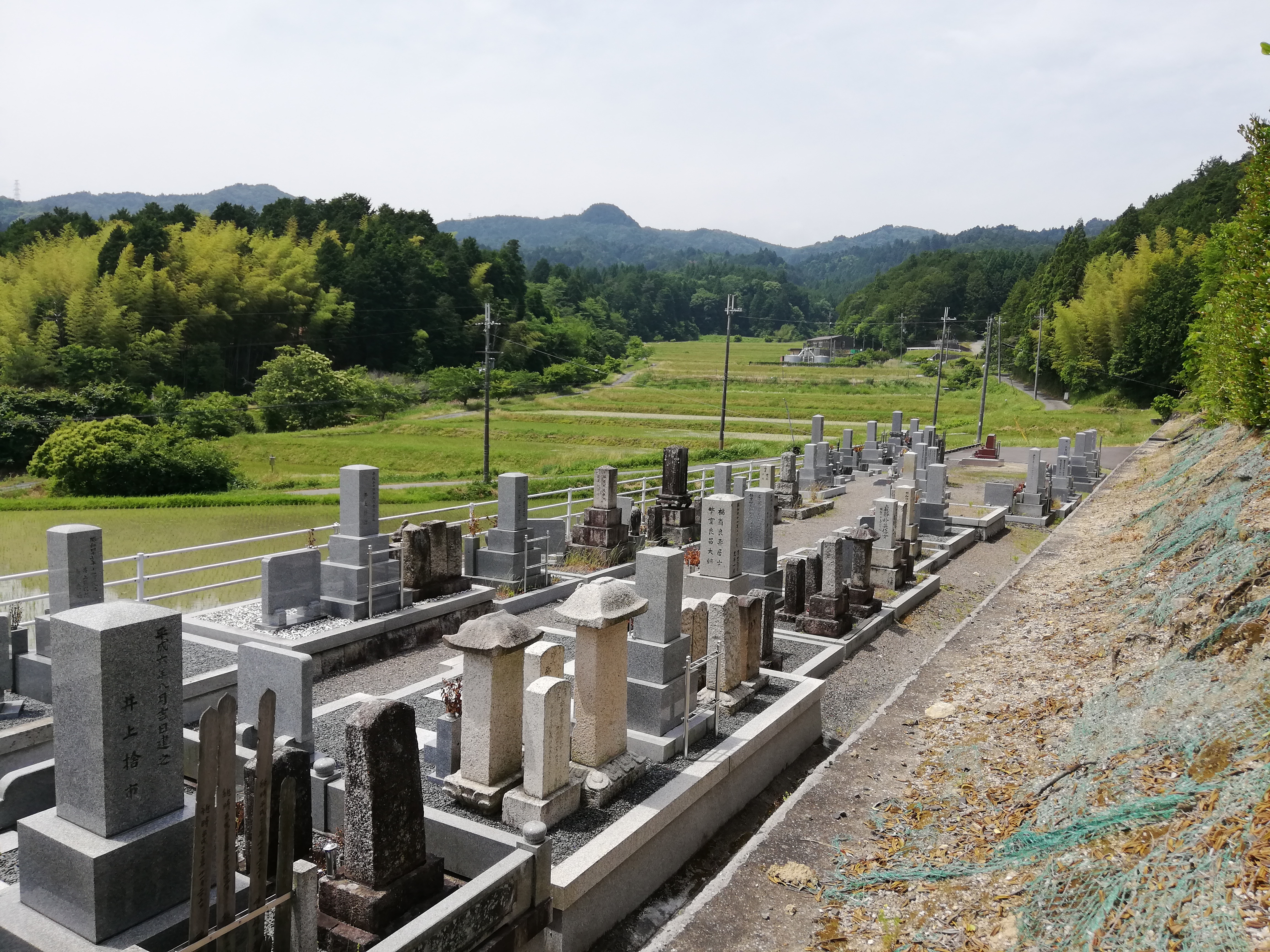 妙感寺の霊園の様子(全景)