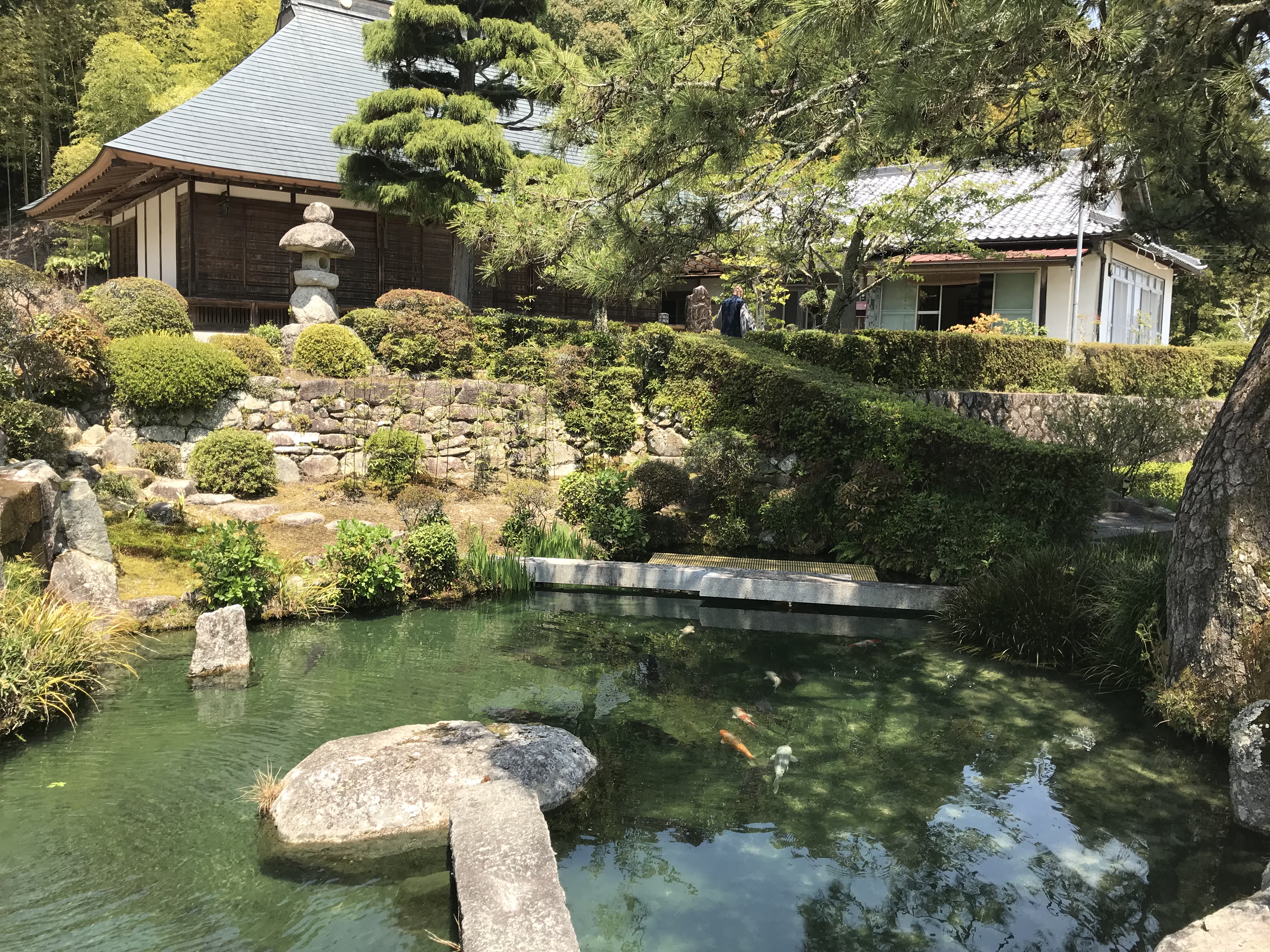 妙感寺 方丈庭園の池
