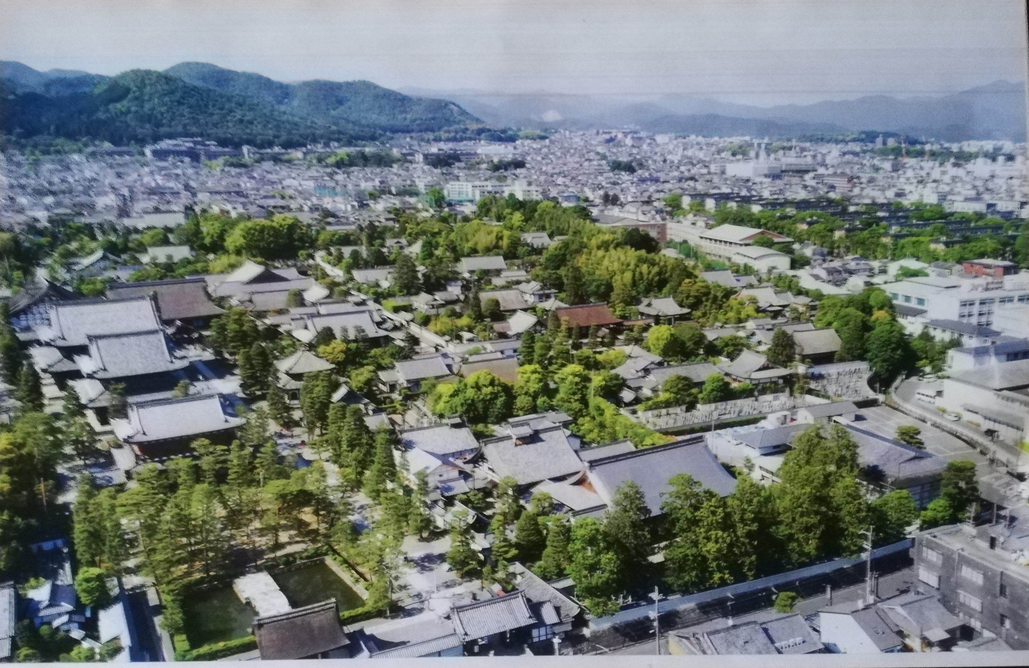 妙心寺