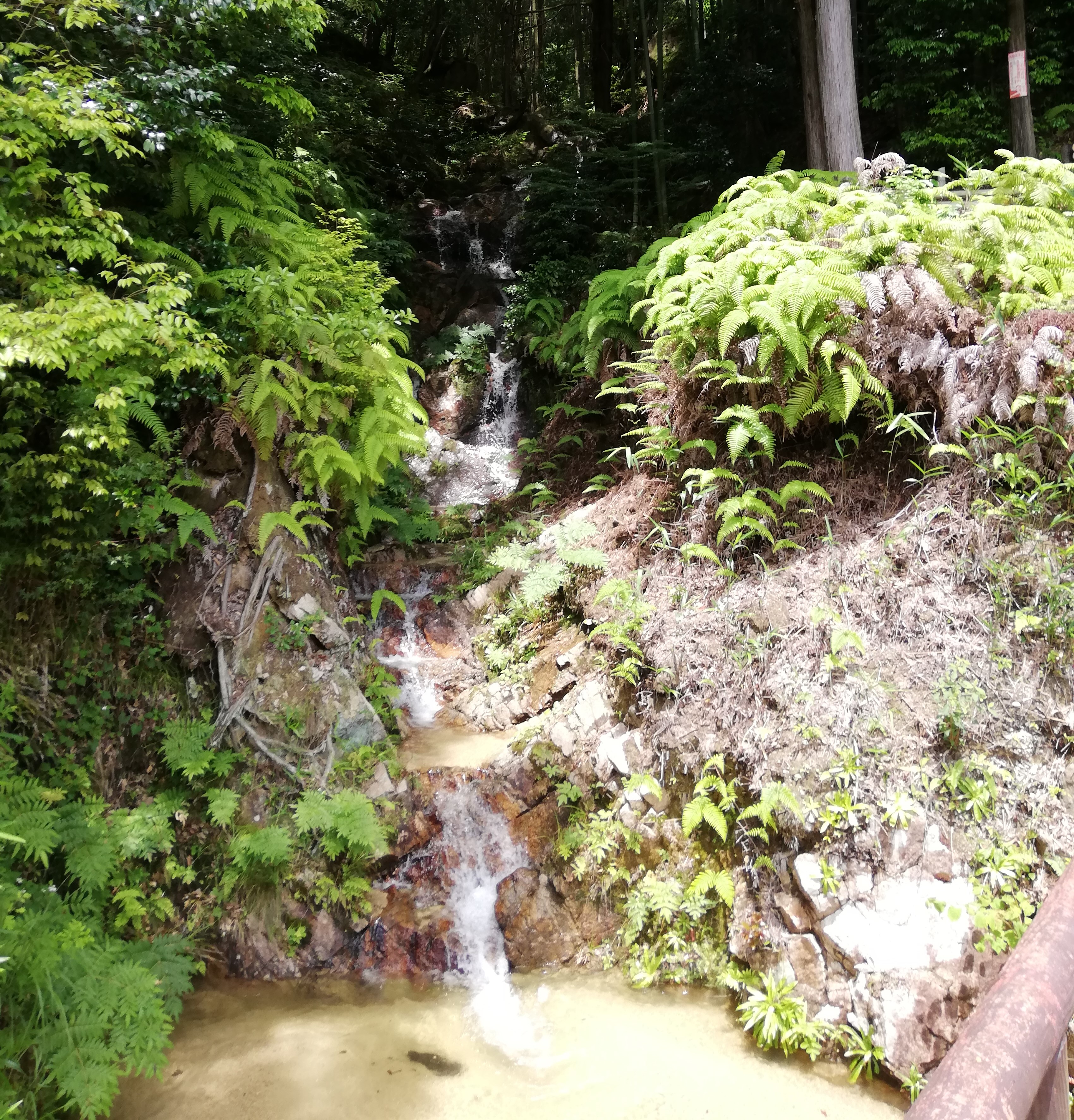 不老(おいず)の滝