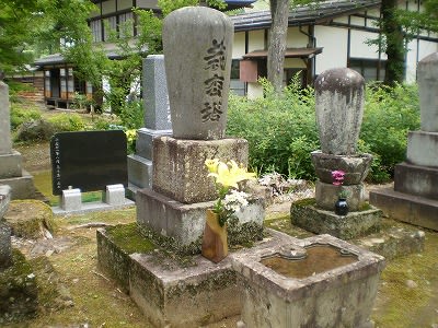 栽松塔