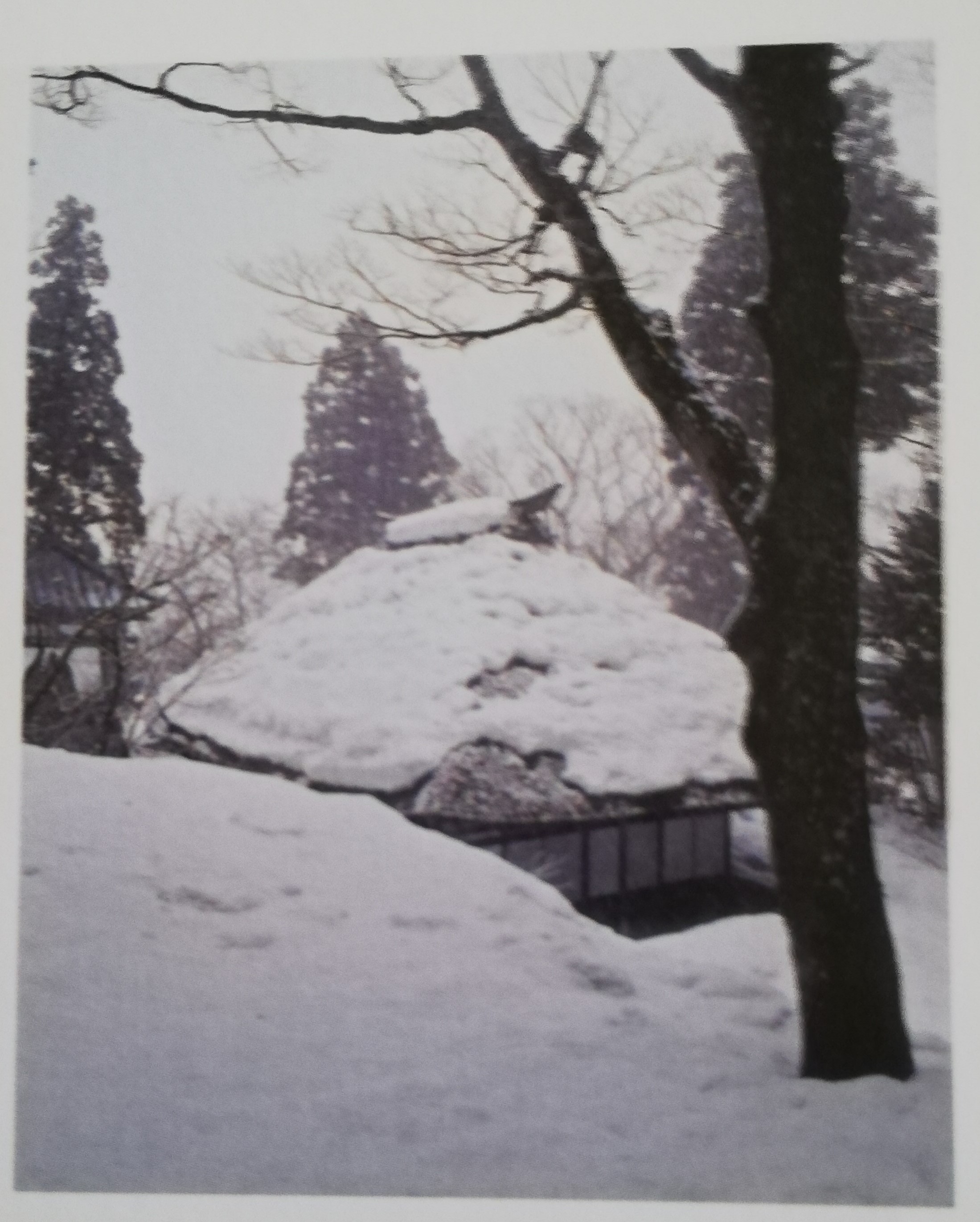 雪に包まれた正受庵の本堂